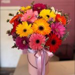 Box Gerberas