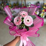3 Gerberas