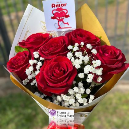 6 rosas rojas en ramo